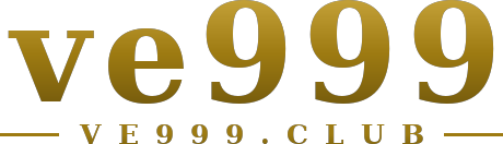 ve999 logo